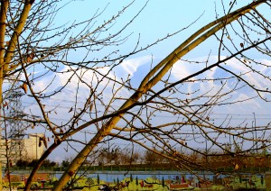View of Alborz Mountains from Tehran