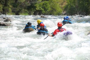 Language needs in the hospitality sector in Pallars Sobirà, Catalonia (Source: paddleinspain.com)