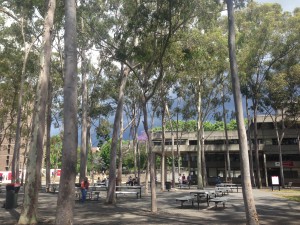 Alex spent a stimulating summer centered on child multilingualism away from the leafy Macquarie campus