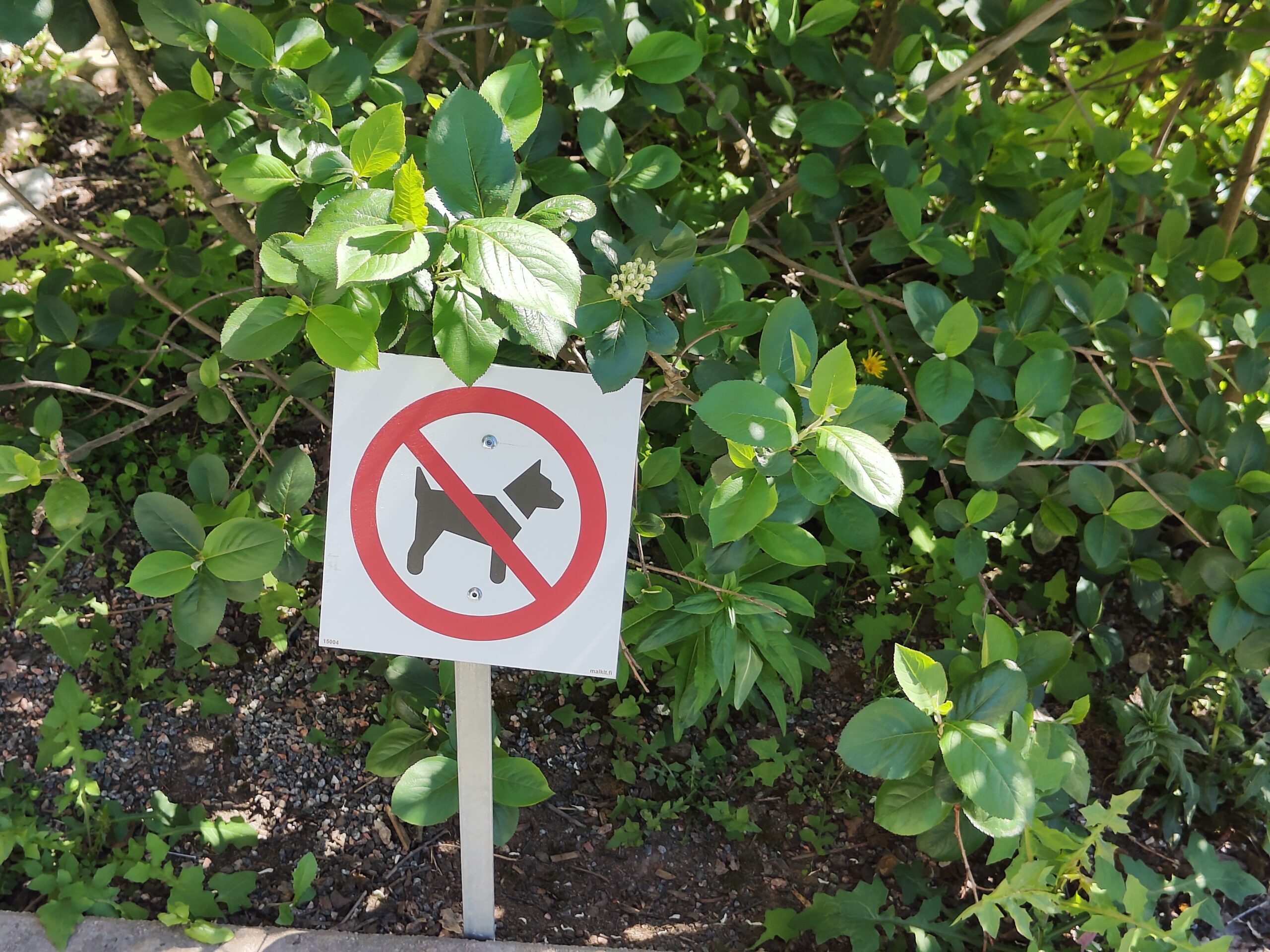 Dog Comma Sign Rads Local culture mirrored in dog signs – Language on the Move